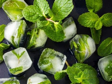 How To Use Mint Leaves For Face Mint Leaves Are The Aromatic Herbs