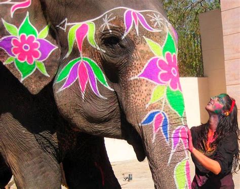 To See The Indian Painted Elephants And To Touchhugpet An Elephant