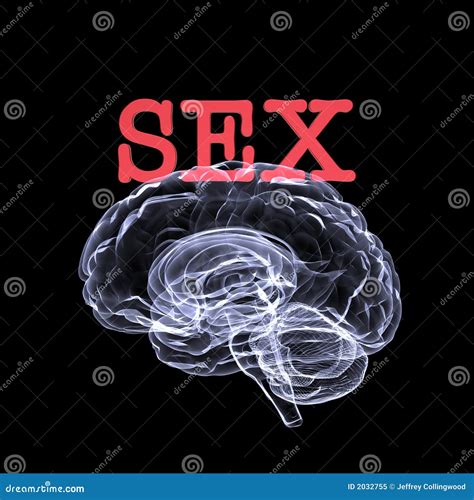 sex on the brain stock illustration illustration of thinking 2032755