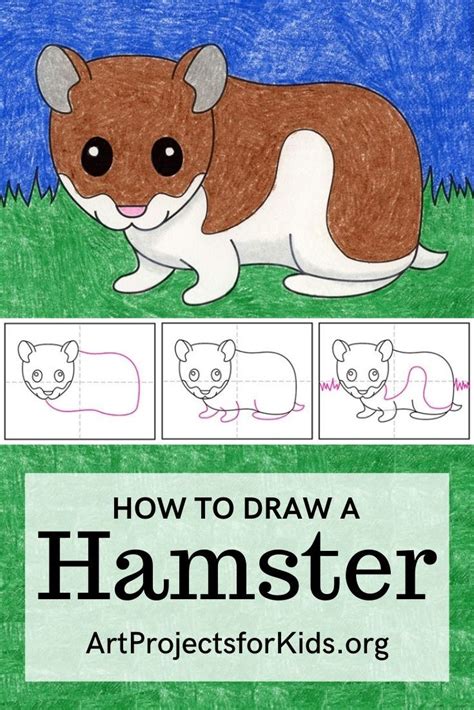 Easy How To Draw A Hamster Tutorial And Hamster Coloring Page Pets