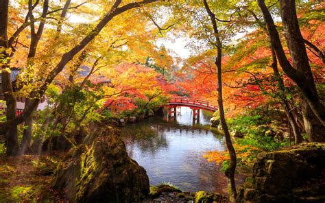 Autumn Park In Fushimi Ward Japan 4k Ultra Hd Wallpaper For Desktop