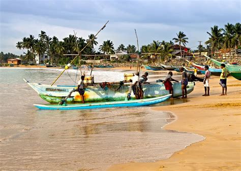 Sri Lanka Fishing Catamarans Fish Boats Editorial Image Image Of