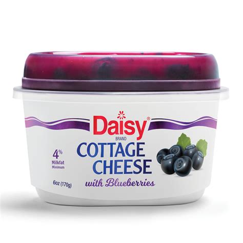 Daisy Cottage Cheese With Blueberry Single Serve Oz Walmart Com