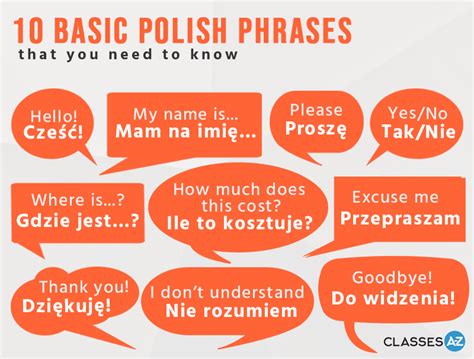 10 Basic Polish Phrases Free Infographic Download Today