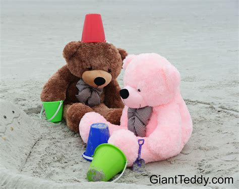Giant Teddy Bears At The Beach Sunny Cuddles Mocha Brown Lady