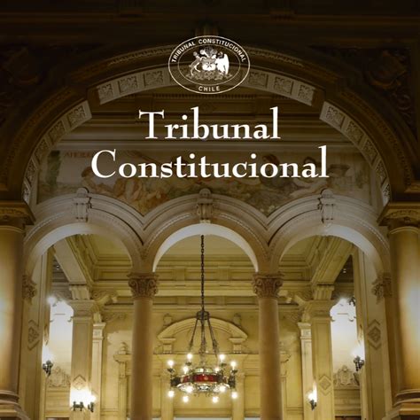 Tribunal Constitucional D A De Los Patrimonios Tribunal