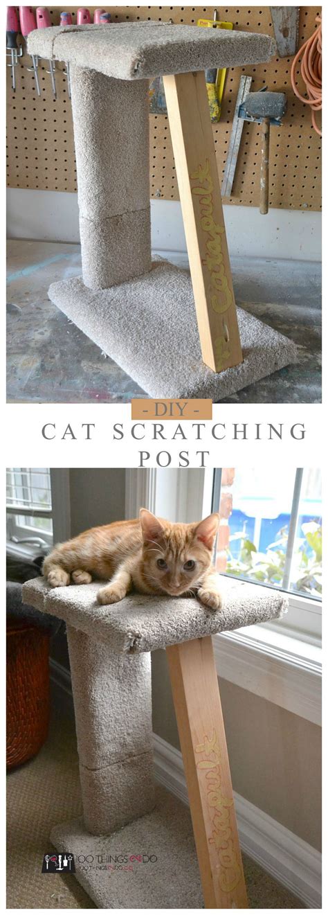 Diy Cat Scratching Post Easy Diy Diy Cat Scratching
