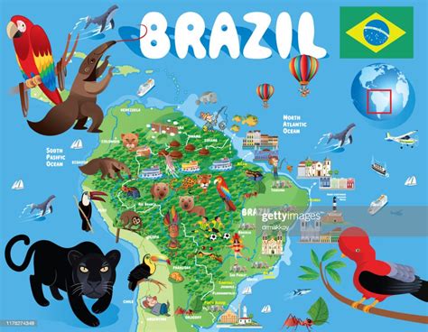 Cartoon Map Of Brazil High Res Vector Graphic Getty Images
