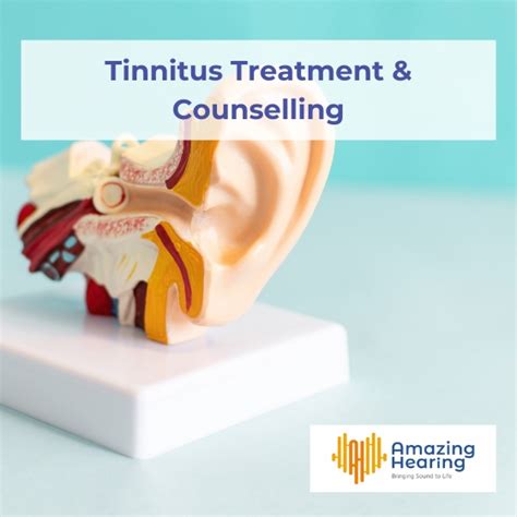 Tinnitus Treatment And Counselling Amazing Hearing Group Singapore