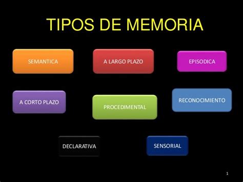 Tipos De Memoria Neuropsicologia