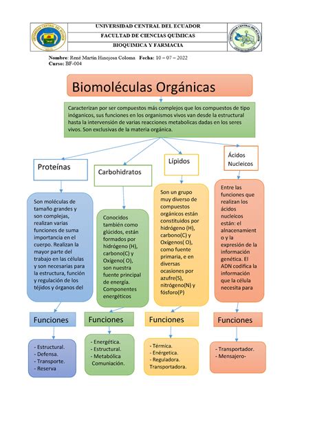 Hinojosarp4t4 Varios Mapas Conceptuales Sobre Biomoléculas
