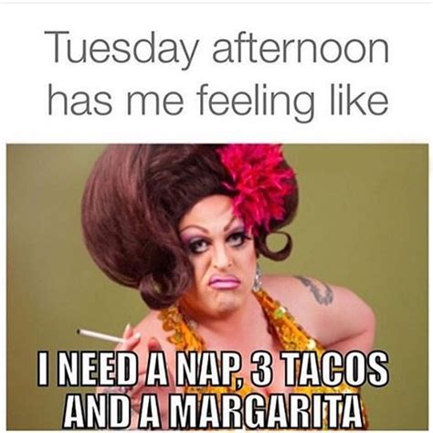 For when you need a good laugh. It's tacos and tequila tonight! | Tuesday humor, Crazy funny memes, Taco tuesdays humor