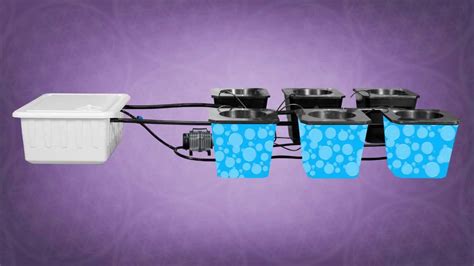 Hydroponic Bubble Buckets Best Hydroponic Bucket System Super