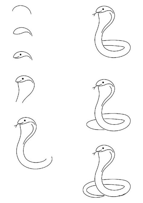How To Draw A Simple Cobra Step By Step Drawing Photos
