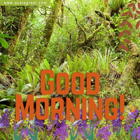 53 Beautiful Good Morning Forestjungle Images Wishes Greetings