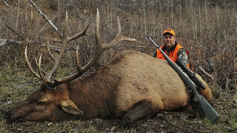 Utah CWMU Private Lands Elk Hunts Steve S Outdoor Adventures