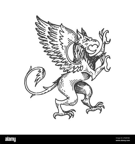 Griffin Or Gryphon Medieval Heraldic Animal Sketch Fantasy Gryphon