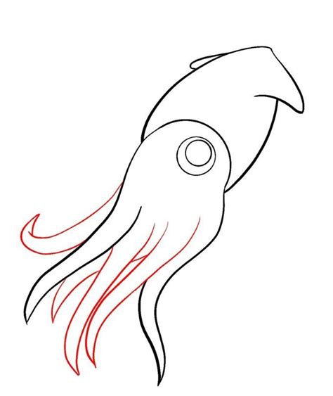 How To Draw A Squid In 2020 With Images Squid Drawing Drawings