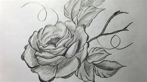 Hướng Dẫn Cách Vẽ Hoa Hồng Siêu đẹp Bằng Bút Chì Màu Nước