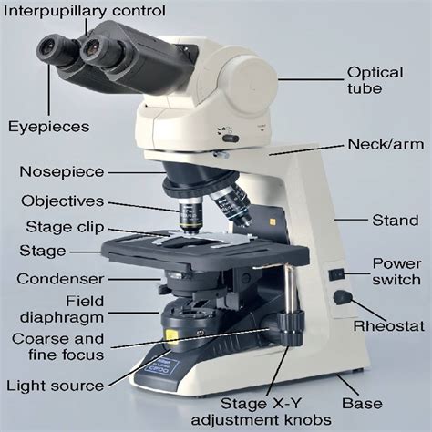 Microscope Light Adjustment Micropedia