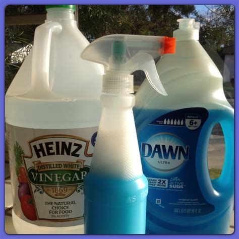 Best Surface Cleaner Ever Mix Blue Dawn Dish Soap And Vinegar Until