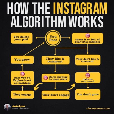 Instagram Organic Growth Strategy How Does The Instagram Algorithm Work