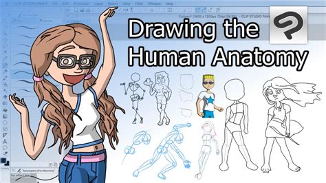 How To Draw The Anatomy Youtube