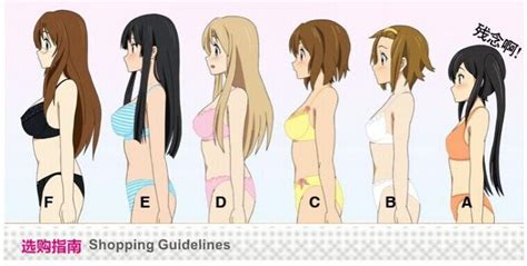 Body Types Bust Sizes In Anime Anime Amino