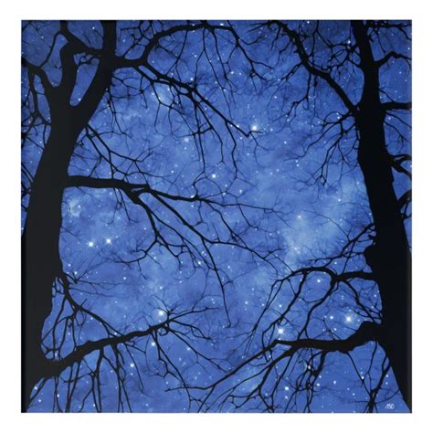 Dark Silhouettes Of Trees Against Starry Night Sky Acrylic Print