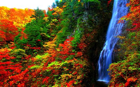 Waterfall In Autumn Forest Wallpaper And Background Image 1680x1050