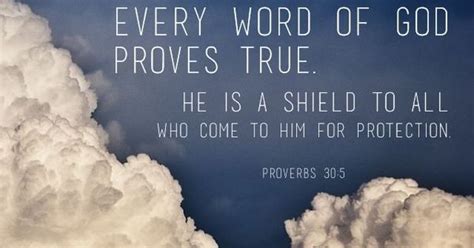 Every Word Of God Proves True He Is A Shield To Those Who Take Refuge