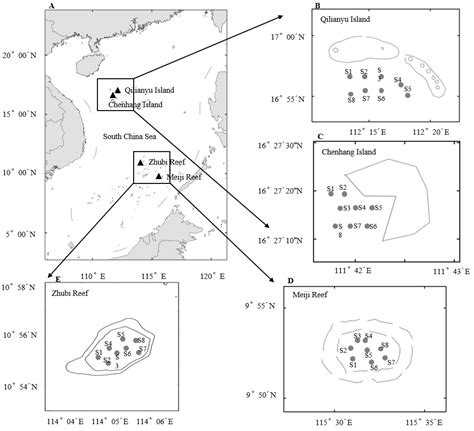 Jmse Free Full Text Fish Composition And Diversity Of Four Coral