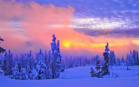 Beautiful Winter Scenery Wallpaper Wallpapersafari
