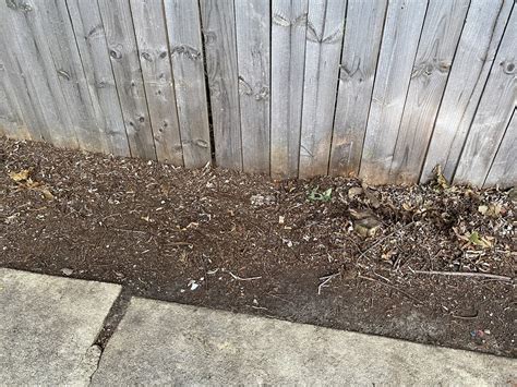 If you want 4 deep soil and have 1,200 square feet to cover; lawn - Is it OK to put sod on top of gravel? - Gardening ...