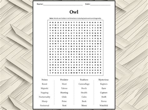 Owl Word Search Puzzle Worksheet Activity Teaching Resources