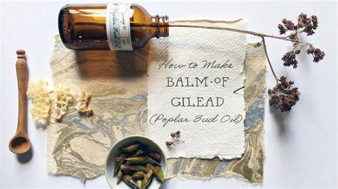 How to make Balm of Gilead (Poplar Bud Oil) | The balm, Practical magic