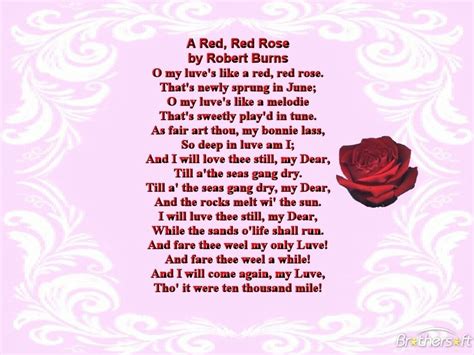 A Poem Written In Red On A Purple Background With A Rose Sitting Next To It
