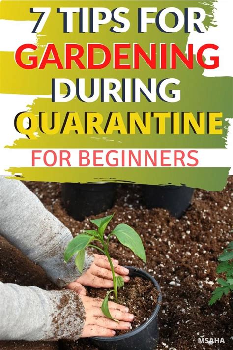 26 brilliant gardening hacks you should try artofit