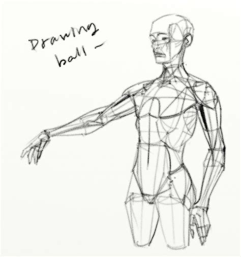 Learn the anatomy and forms. 493 best images about Figure Drawing / Torso on Pinterest ...