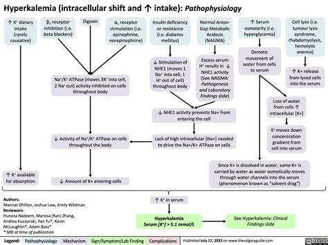 Hyperkalemia Detailed Pathophysiology Intracellular Shift And Intake