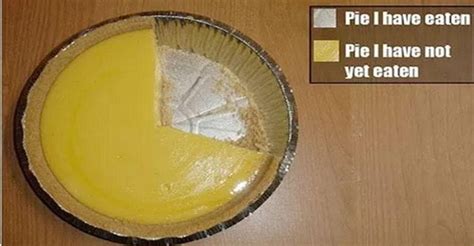funny pie charts that are so true