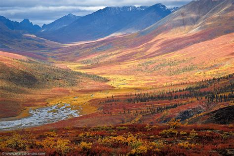 North Klondike Valley Yukon Autumn A Photo On Flickriver