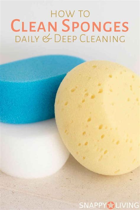 Learn How To Clean Sponges Both Daily And Deep Cleaning Because They Can Get Really Gross