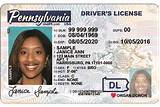 Fake Security License Images