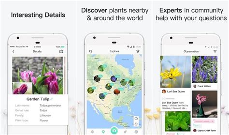 Wood app for your iphone, you'll look like a pro every time. bobvilla.com. Best Plant Identification Apps for Android Devices 2020