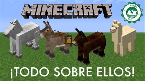 Todo Sobre Los Caballosburros Mulas Y Llamas De Minecraft En 1 Video