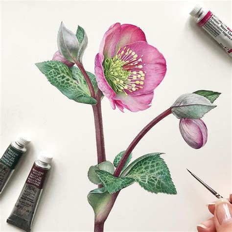 🎨 Watercolor Blog Sur Instagram 🎨 Watercolorist Olenaduchene