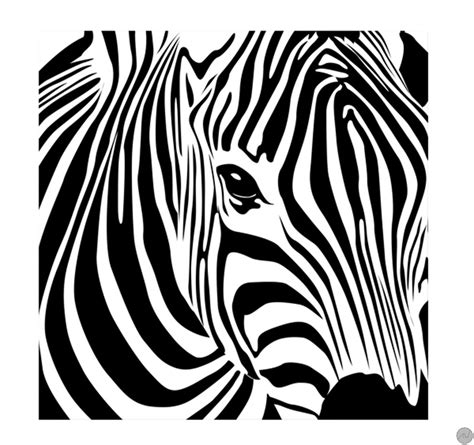 Wild Zebra Black And White Animal Canvas Artwall And Co