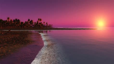 Water Beach Palm Trees Sunlight Evening Wallpapers Hd Desktop And