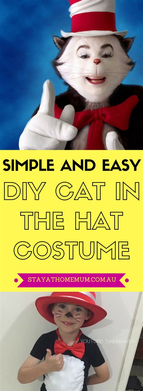 Cat In The Hat Costume Diy